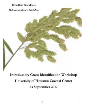 Introductory Grass Identification Workshop University of Houston Coastal Center 23 September 2017