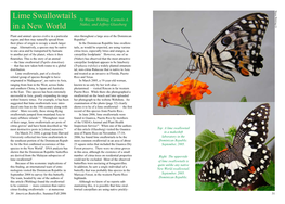 Lime Swallowtails in a New World