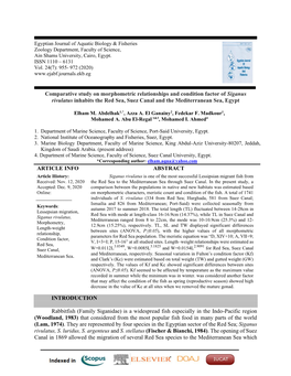 Comparative Study on Morphometric Relationships and Condition Factor of Siganus Rivulatus Inhabits the Red Sea, Suez Canal and the Mediterranean Sea, Egypt