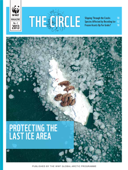 Protecting the Last Ice Area