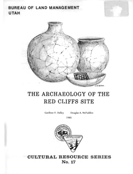 The Archaeology of the Red Cliffs Site