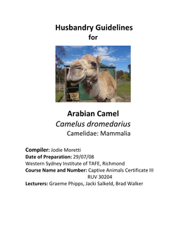 Husbandry Guidelines Arabian Camel Camelus Dromedarius