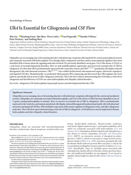 Ulk4 Is Essential for Ciliogenesis and CSF Flow
