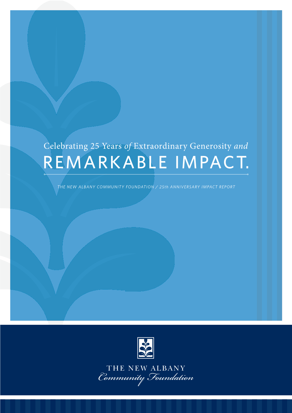 Download Our 25Th Anniversary Impact Report