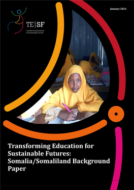 Somalia/Somaliland Background Paper