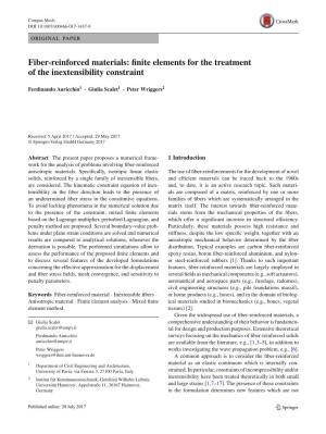Finite Elements for the Treatment of the Inextensibility Constraint
