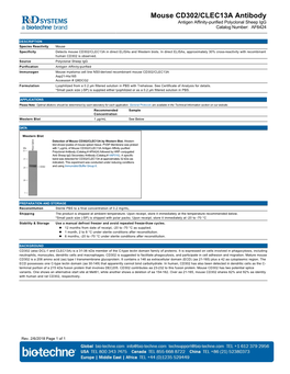 Mouse CD302/CLEC13A Antibody Antigen Affinity-Purified Polyclonal Sheep Igg Catalog Number: AF6424