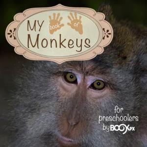 My Book of Monkeys Is Published by Bookpx, LLC