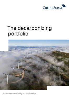 The Decarbonizing Portfolio
