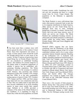 Monk Parakeet (Myiopsitta Monachus) Allen T