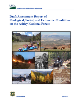 Draft Assessment Report of Ecological, Social and Economic Conditions on the Custer Gallatin National Forest
