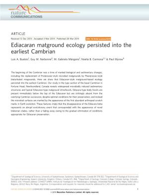 Ediacaran Matground Ecology Persisted Into the Earliest Cambrian
