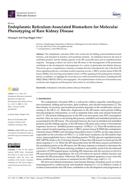 Endoplasmic Reticulum-Associated Biomarkers for Molecular Phenotyping of Rare Kidney Disease