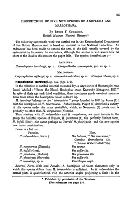 Descriptions of Five New Species of Anoplura and Mallophaga