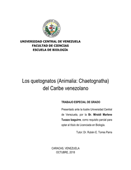 Los Quetognatos (Animalia: Chaetognatha) Del Caribe Venezolano