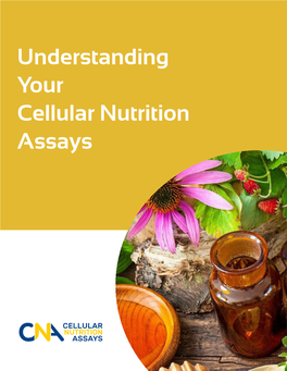 Understanding Your Cellular Nutrition Assays a MESSAGE from OUR FOUNDER