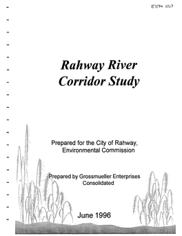 Rahway River Corridor Study