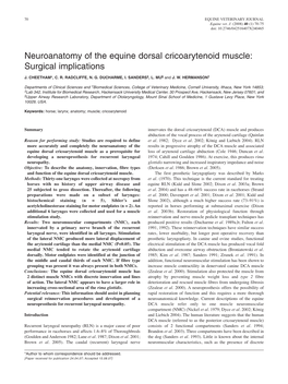 Neuroanatomy of the Equine Dorsal Cricoarytenoid Muscle: Surgical Implications