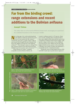Far from the Birding Crowd: Range Extensions and Recent Additions to the Bolivian Avifauna Joseph Tobias