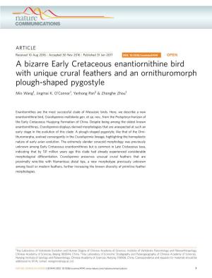 A Bizarre Early Cretaceous Enantiornithine Bird with Unique Crural Feathers and an Ornithuromorph Plough-Shaped Pygostyle