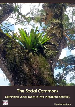 The Social Commons