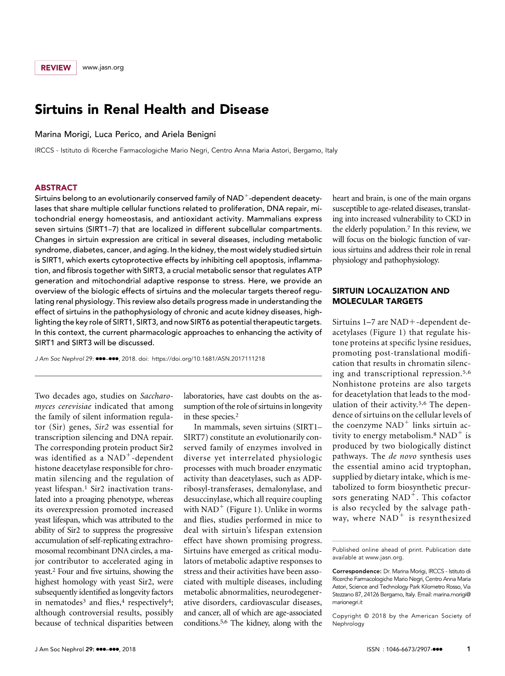 Sirtuins in Renal Health and Disease