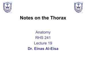Notes on the Thorax