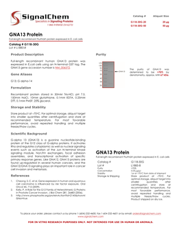 GNA13 Protein Full-Length Recombinant Human Protein Expressed in E
