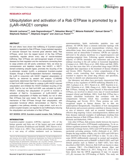 Ubiquitylation and Activation of a Rab Gtpase Is Promoted by a B2ar–HACE1 Complex