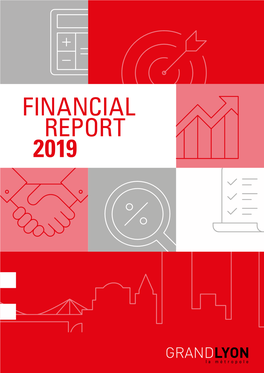 FINANCIAL REPORT 2019 2 Sommaire