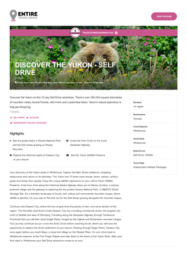 DISCOVER the YUKON - SELF DRIVE (11834) Grizzly Bear Near Alaska Highway Near Haines Junction Credit: Sheena Greenlaw