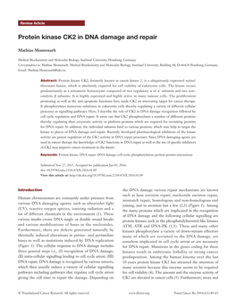 Protein Kinase CK2 in DNA Damage and Repair
