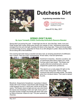 Dutchess Dirt