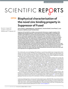 Biophysical Characterisation of the Novel Zinc Binding Property In