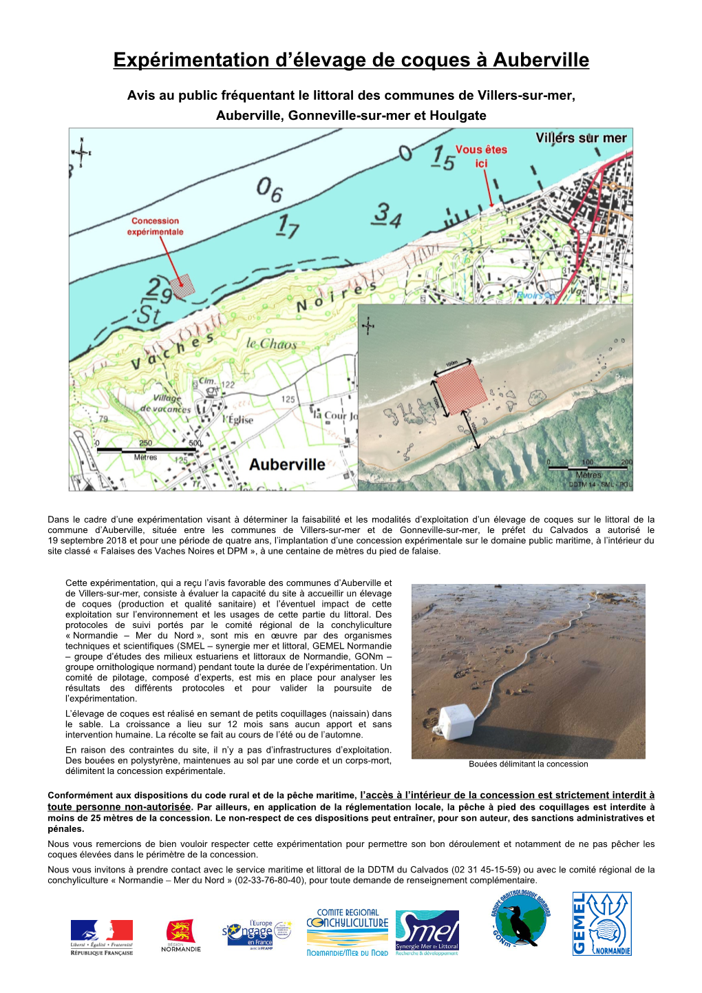 Expérimentation D'élevage De Coques À Auberville