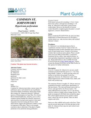 (Hypericum Perforatum) Plant Guide