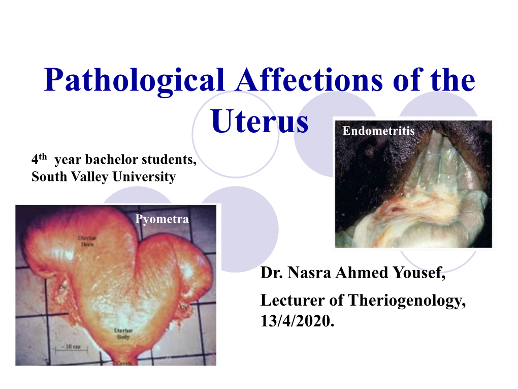 Pathological Affections of the Uterus