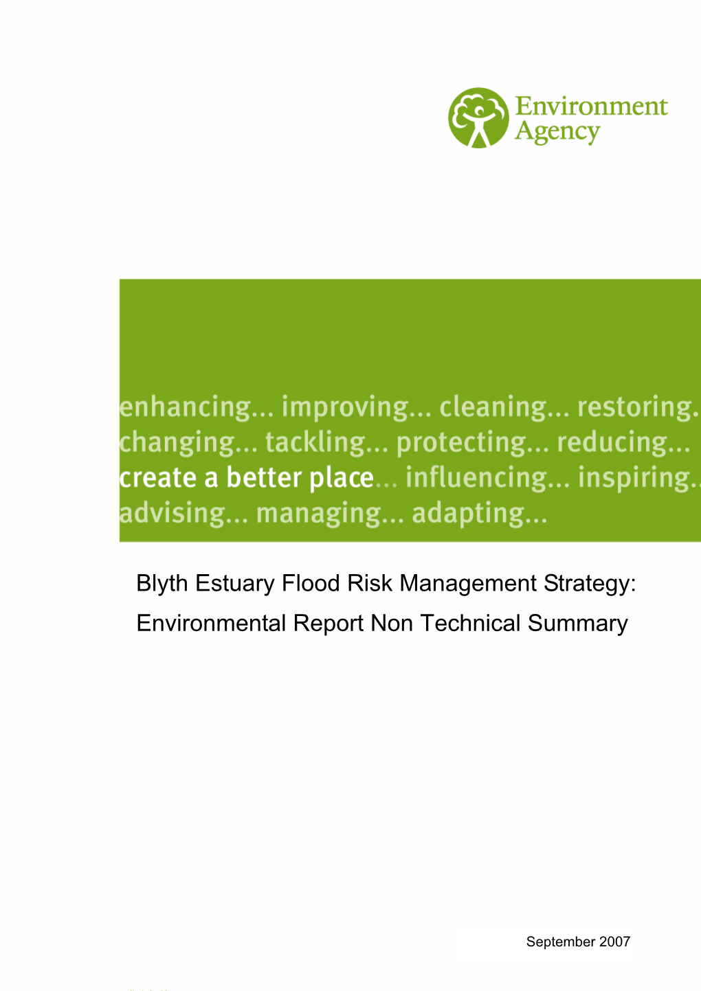 Blyth Estuary Flood Risk Management Strategy: Environmental Report Non Technical Summary