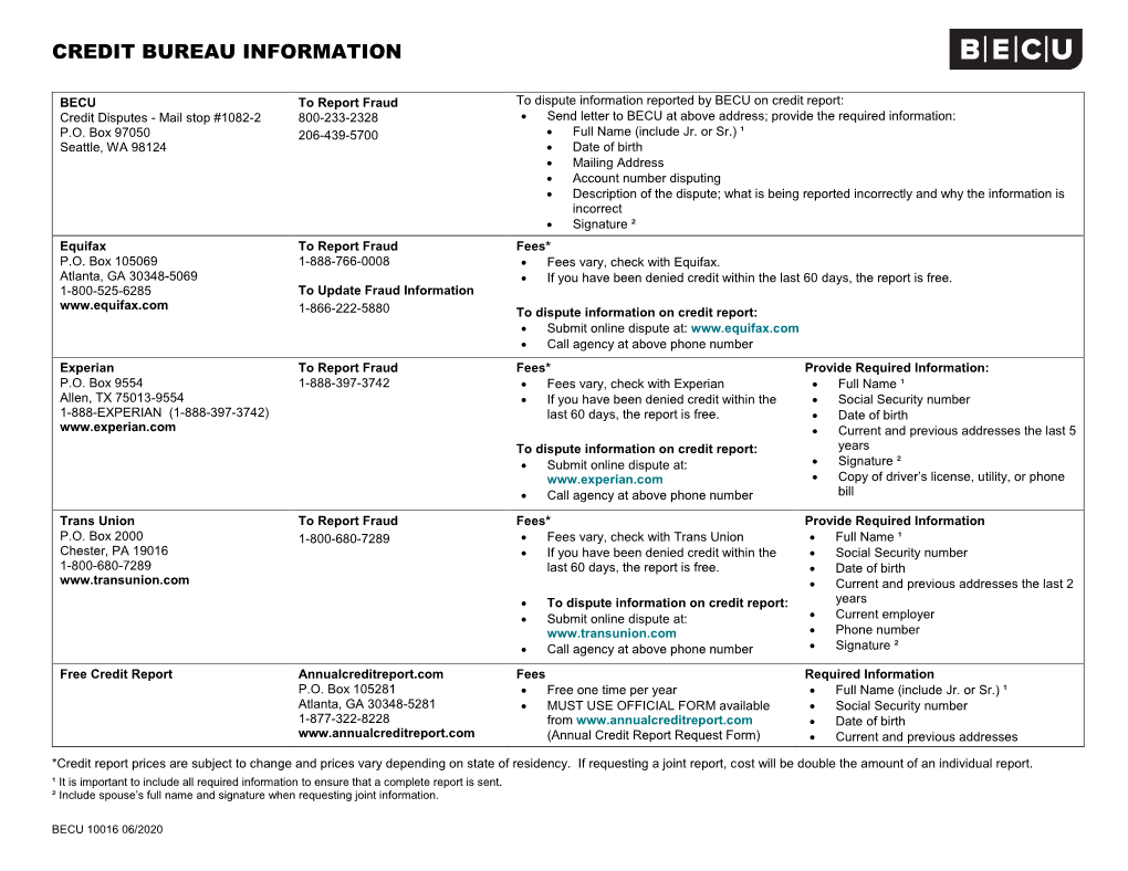 Credit Bureau Information