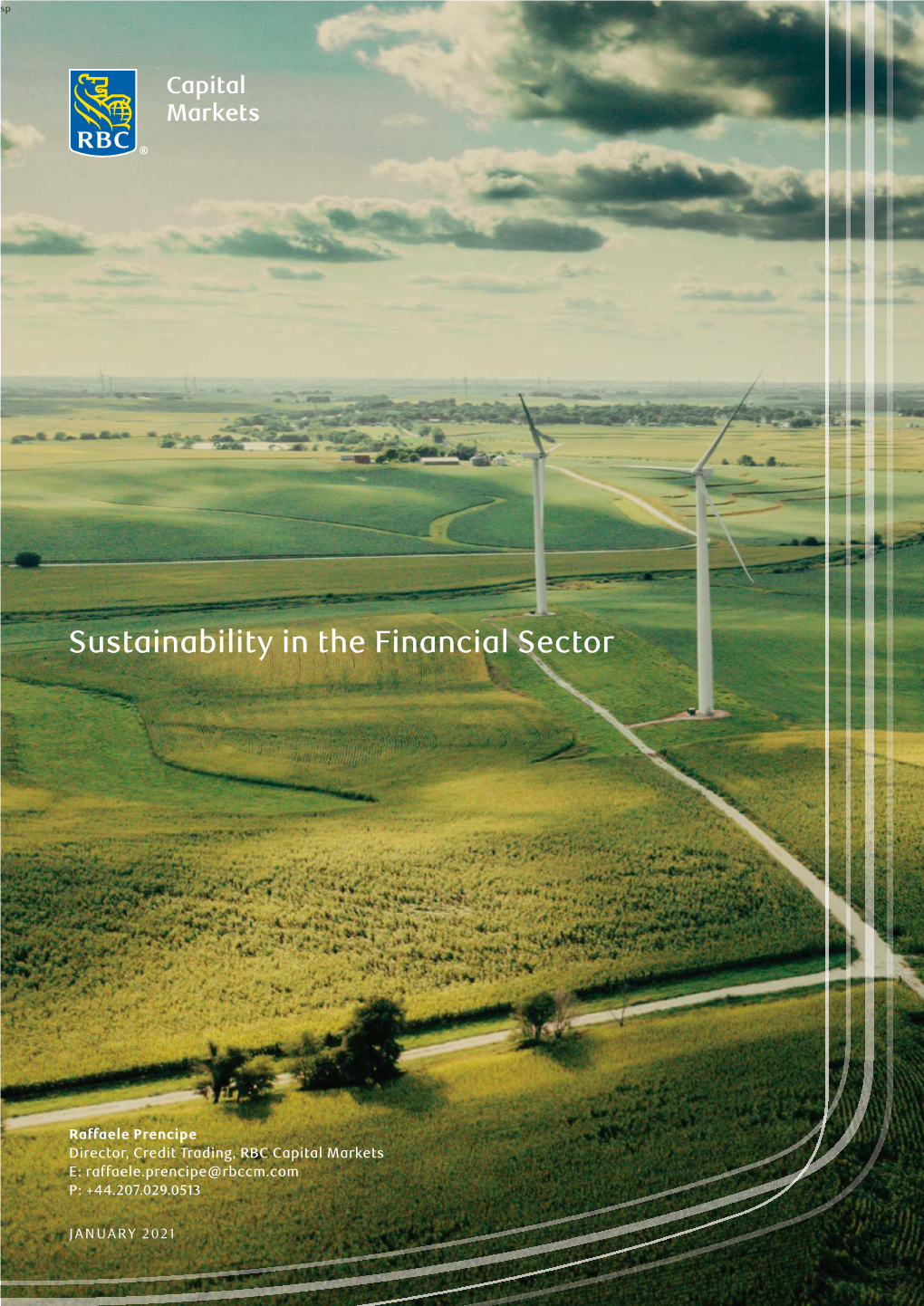Sustainability in the Financial Sector