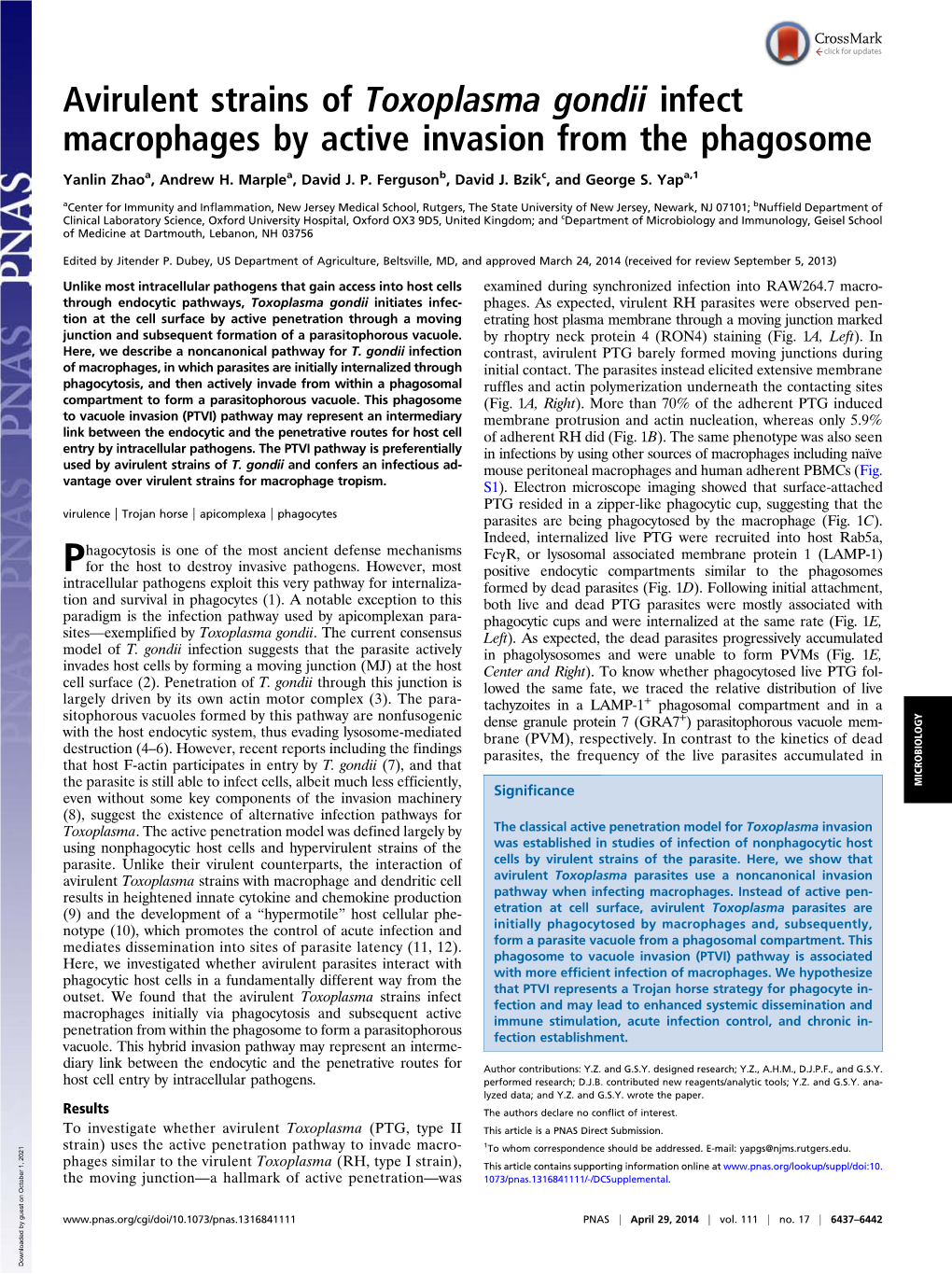 Avirulent Strains of Toxoplasma Gondii Infect Macrophages by Active Invasion from the Phagosome