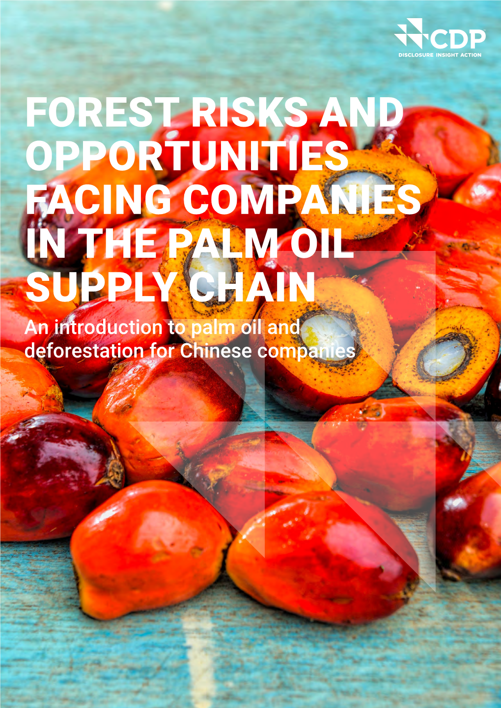 FOREST RISKS and OPPORTUNITIES FACING COMPANIES in the PALM OIL SUPPLY CHAIN an Introduction to Palm Oil and Deforestation for Chinese Companies CONTENTS