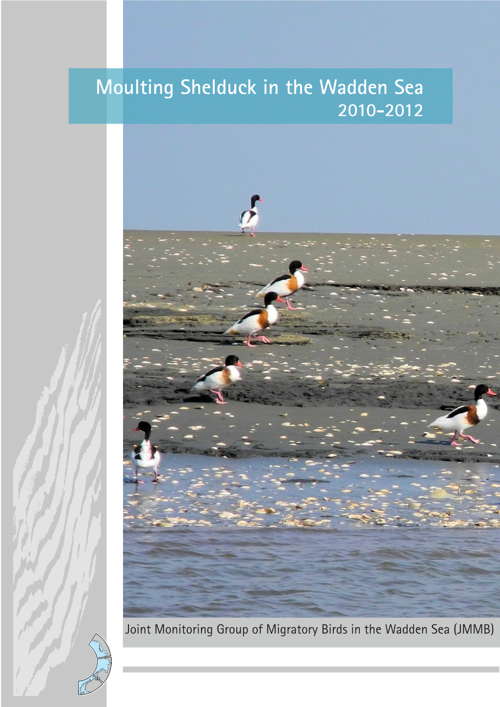 Moulting Shelduck in the Wadden Sea 2010-2012