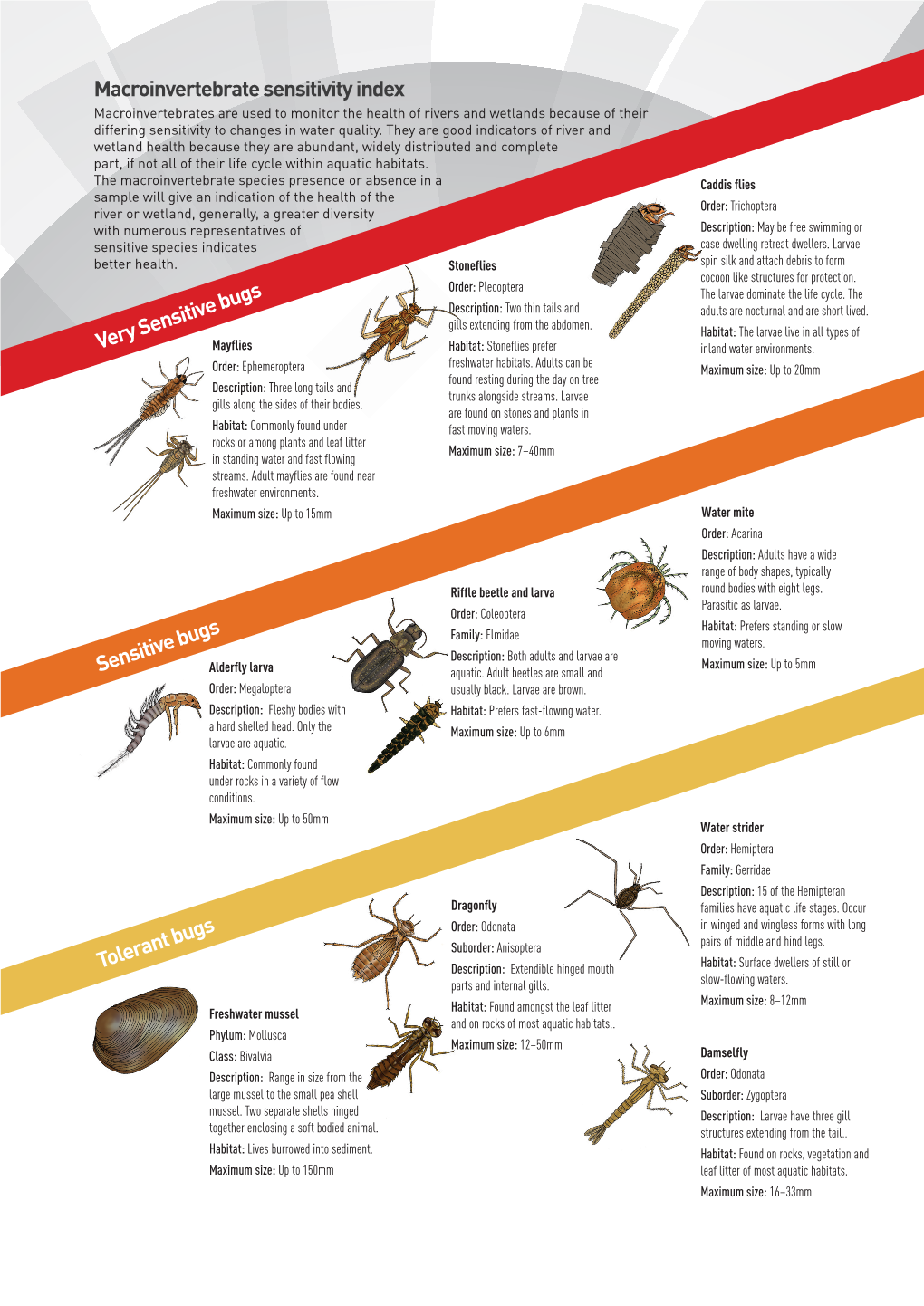 Macroinvertebrate Sensitivity