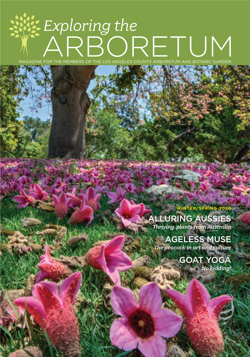 Exploring the ARBORETUM MAGAZINE for the MEMBERS of the LOS ANGELES COUNTY ARBORETUM and BOTANIC GARDEN