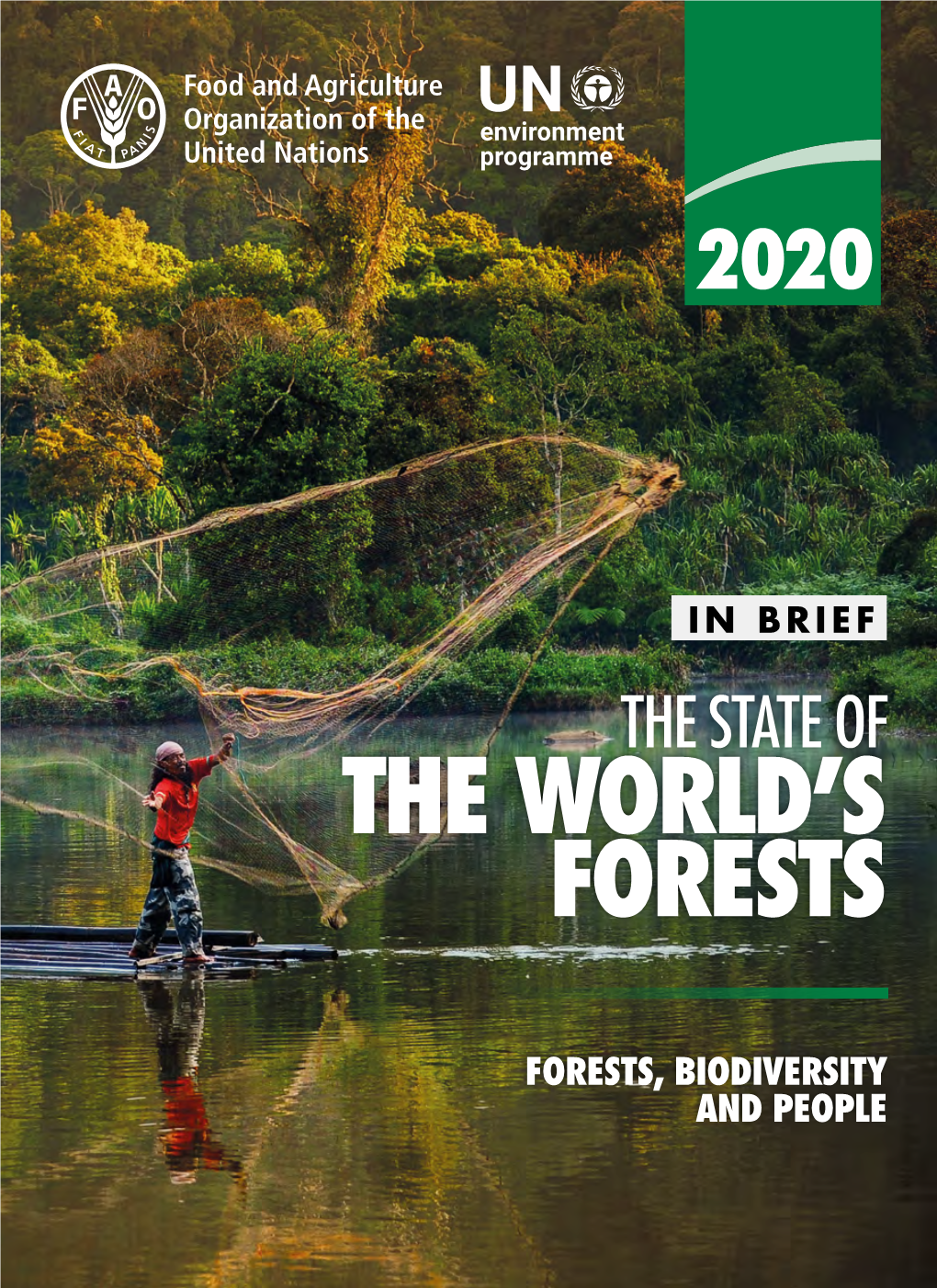 The World's Forests 2020