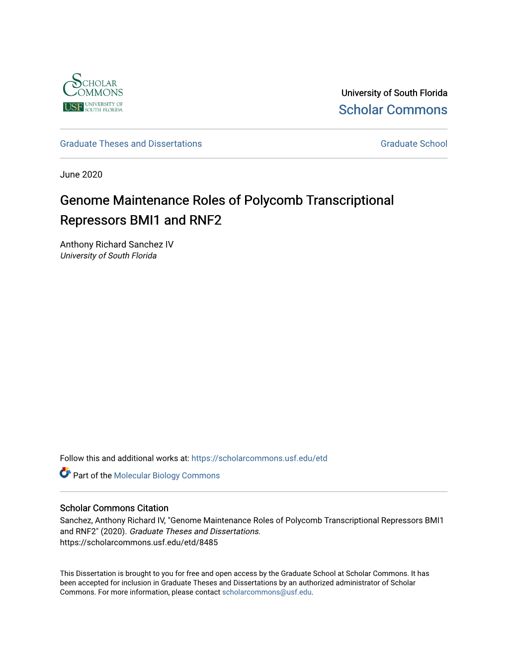 Genome Maintenance Roles of Polycomb Transcriptional Repressors BMI1 and RNF2