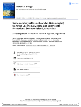 Elasmobranchii, Batomorphii) from the Eocene La Meseta and Submeseta Formations, Seymour Island, Antarctica