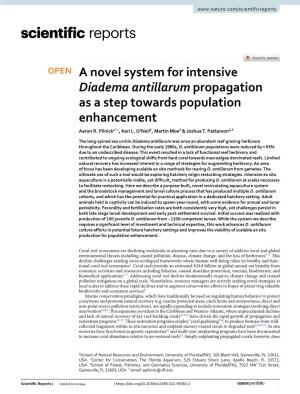 A Novel System for Intensive Diadema Antillarum Propagation As a Step Towards Population Enhancement Aaron R