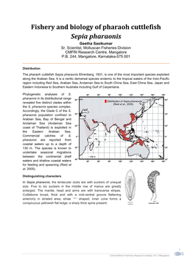 Fishery and Biology of Pharaoh Cuttlefish Sepia Pharaonis Geetha Sasikumar Sr